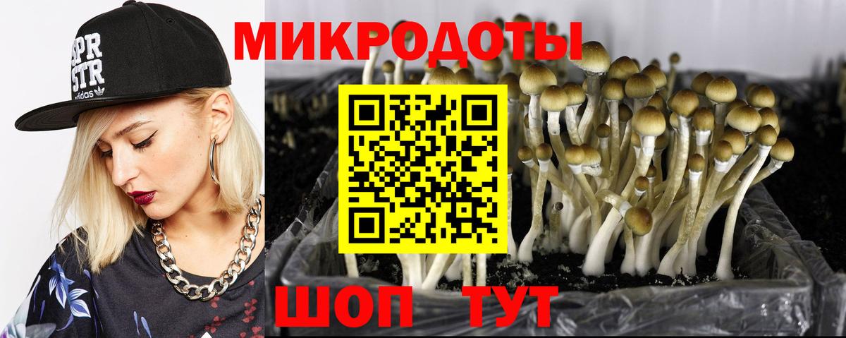 Псилоцибиновые грибы мухоморы  Вход с VPN  Грязи  Галлюциногенные грибы Psilocybe 